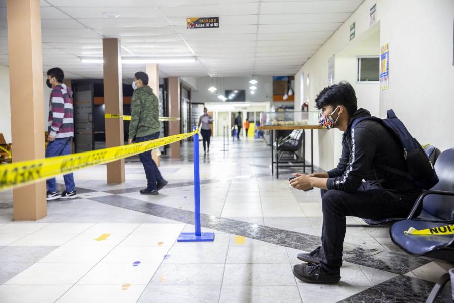 Pide PT a SEP diseñar mecanismos de prevención del suicidio en escuelas