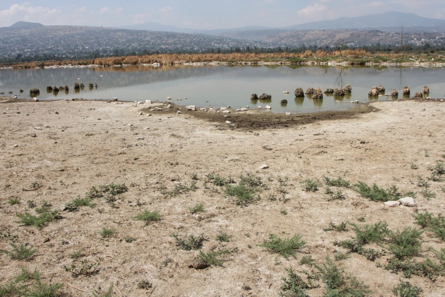 Alerta BM migración interna masiva en unos años a causa del cambio climático