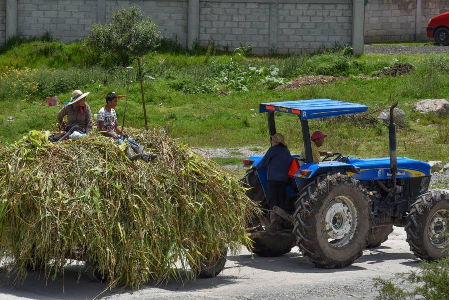 Apoyos al campo se emplean en perjuicio del medio ambiente: ONU