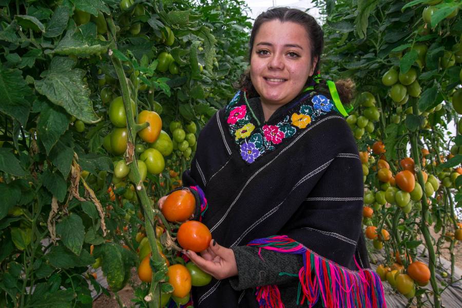 Buscan potenciar exportaciones de pequeños productores a EEUU