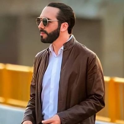 Nayib Bukele oficializa 