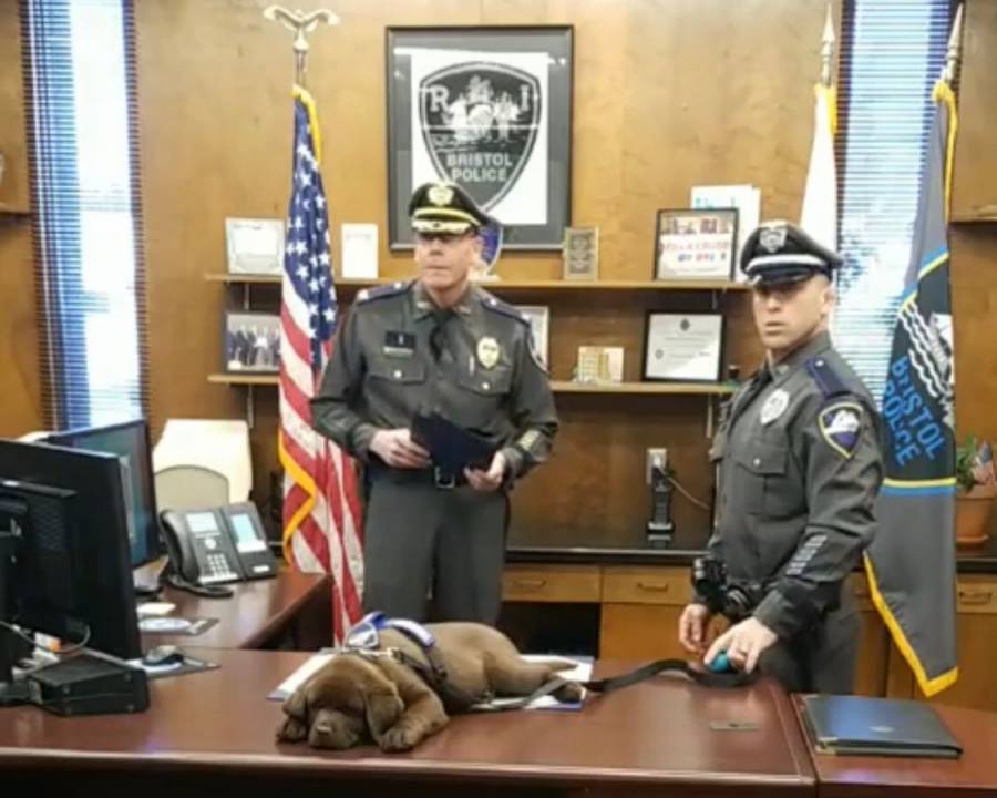 Perrito policía se queda dormido en su propia ceremonia de juramento transmitida en vivo