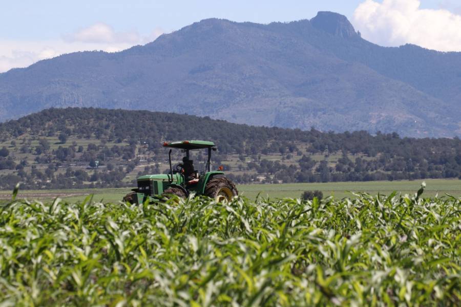 Continúa el repunte de mercados agrícolas en Chicago, gracias a Evergrande