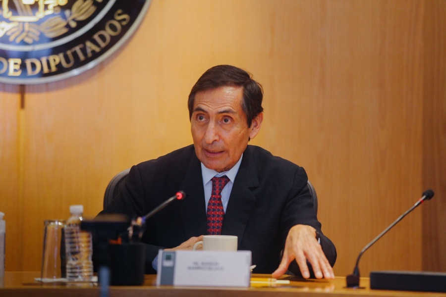 Los proyectos prioritarios de AMLO tienen un efecto económico multiplicador: Rogelio Ramírez de la O