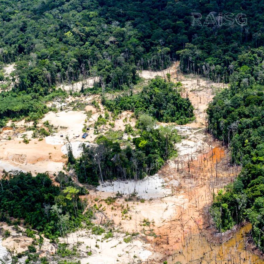 La Amazonía ha perdido vegetación equivalente a Chile