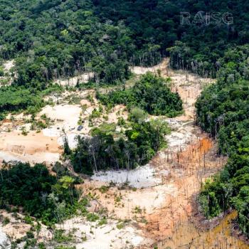 La Amazon&iacute;a ha perdido vegetaci&oacute;n equivalente a Chile