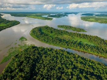EEUU busca crear asociaci&oacute;n de pa&iacute;ses que tienen grandes bosques