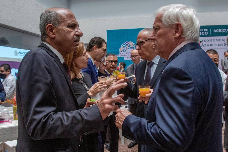 Países árabes reconocen la disposición y apertura del Gobierno de México para cooperación internacional