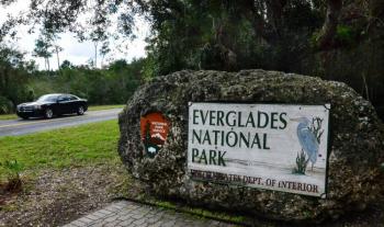 El cambio clim&aacute;tico amenaza el futuro de los Everglades en Florida