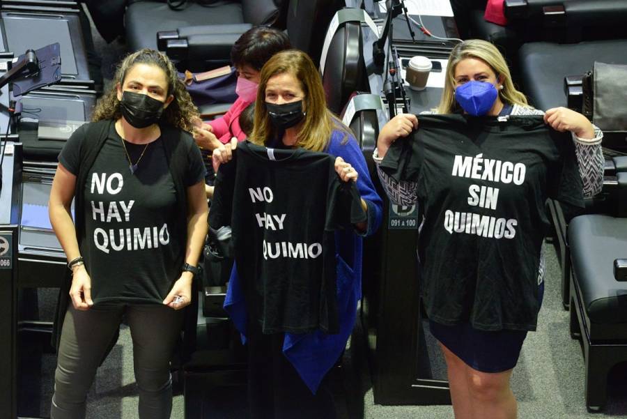 Madre de niño con cáncer se arrodilla ante diputados de Morena; suplica por medicinas