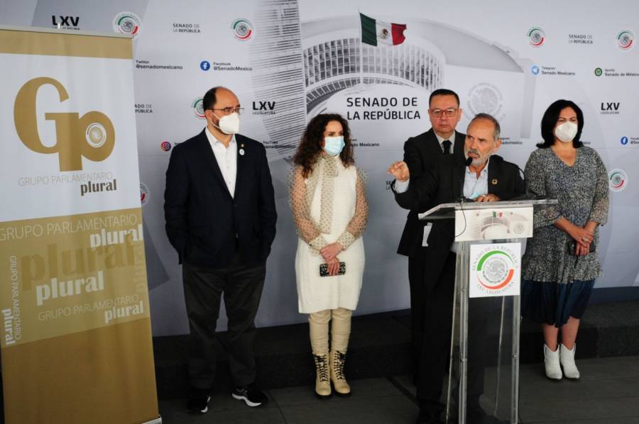Grupo Plural tendrá voz, pero no voto ni prerrogativas