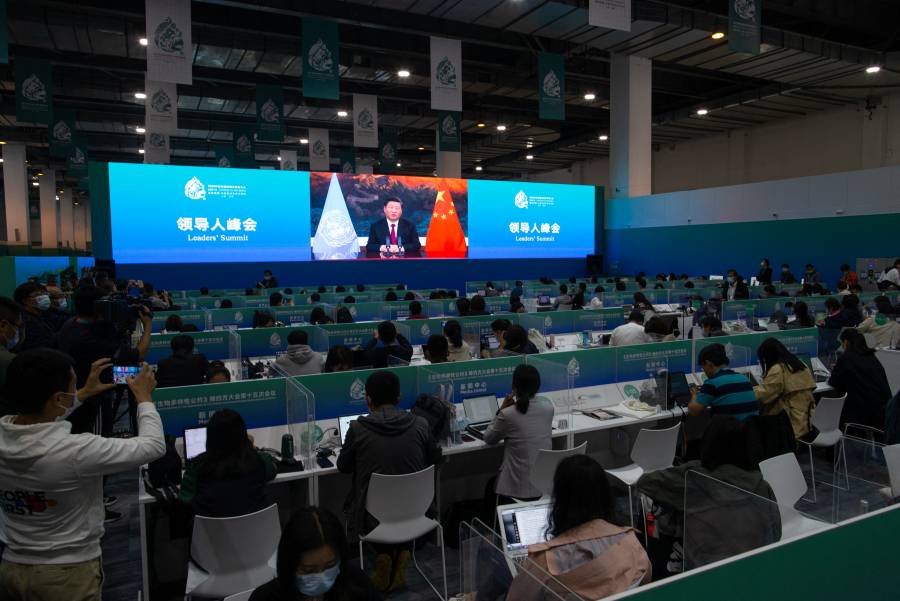 En China termina la primera parte de la COP15