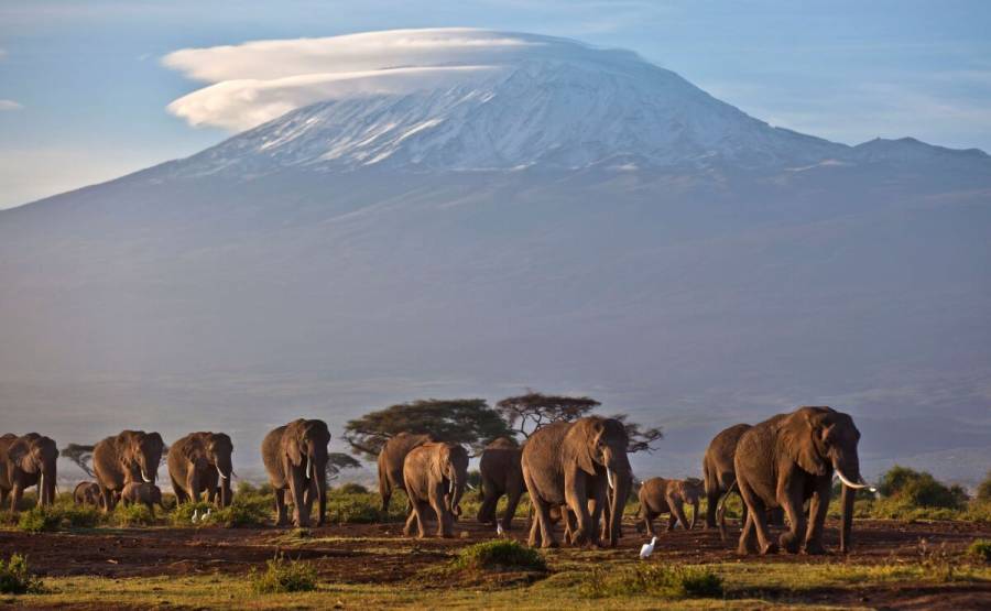 África será quien más padezca el calentamiento global: WMO