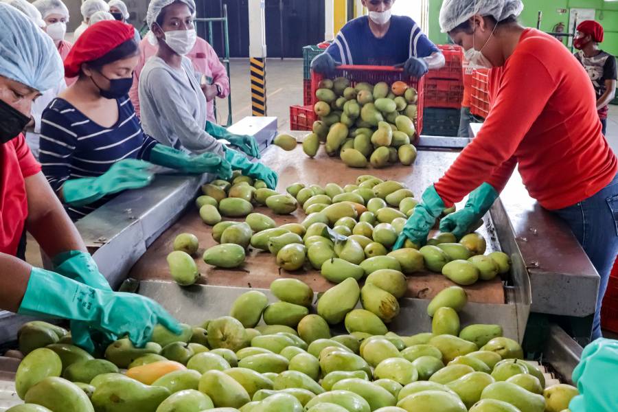 Coinciden M&eacute;xico y Uni&oacute;n Europea en beneficios del nuevo Tratado de Libre Comercio