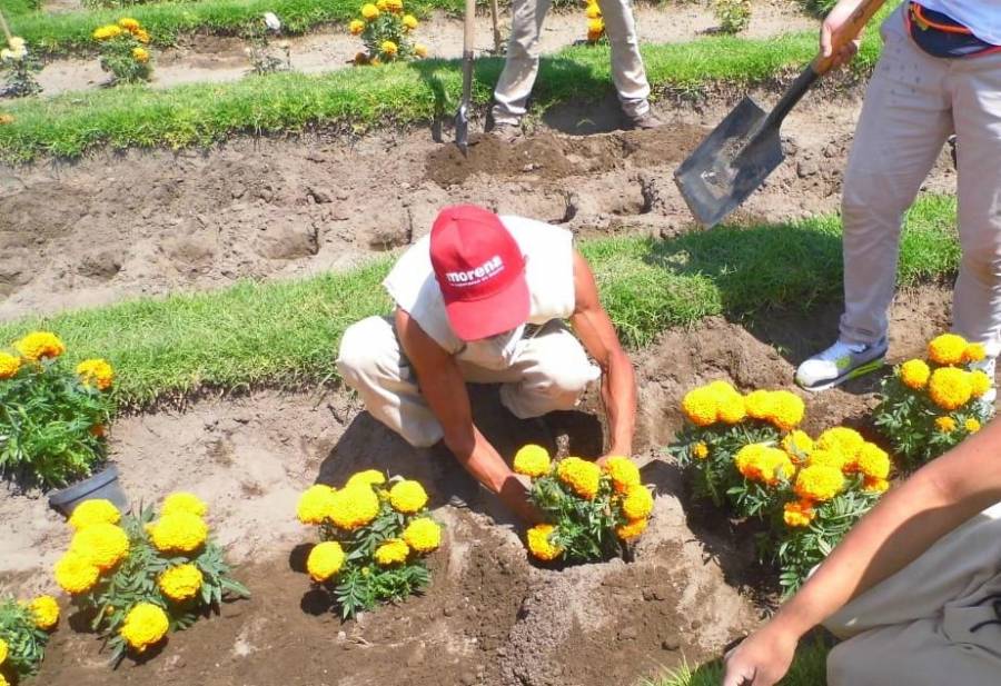 Ponen a la venta flores de cempasúchitl cultivadas por presos