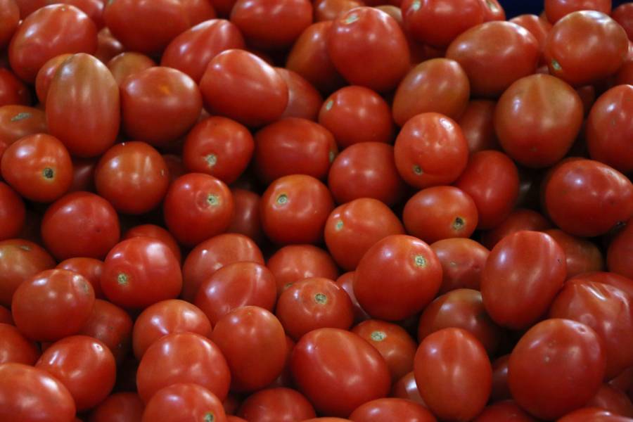 México investigará denuncia de “trabajo forzado” en exportadoras de tomate