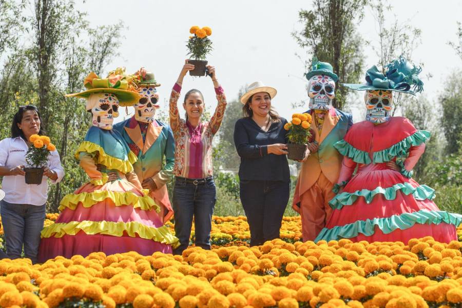 CDMX tendrá banco de semilla de cempasúchil