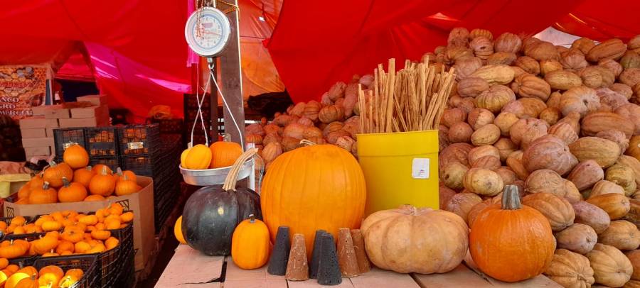 Prev&eacute;n se recuperen ventas en la Ceda con romer&iacute;a de D&iacute;a de Muertos