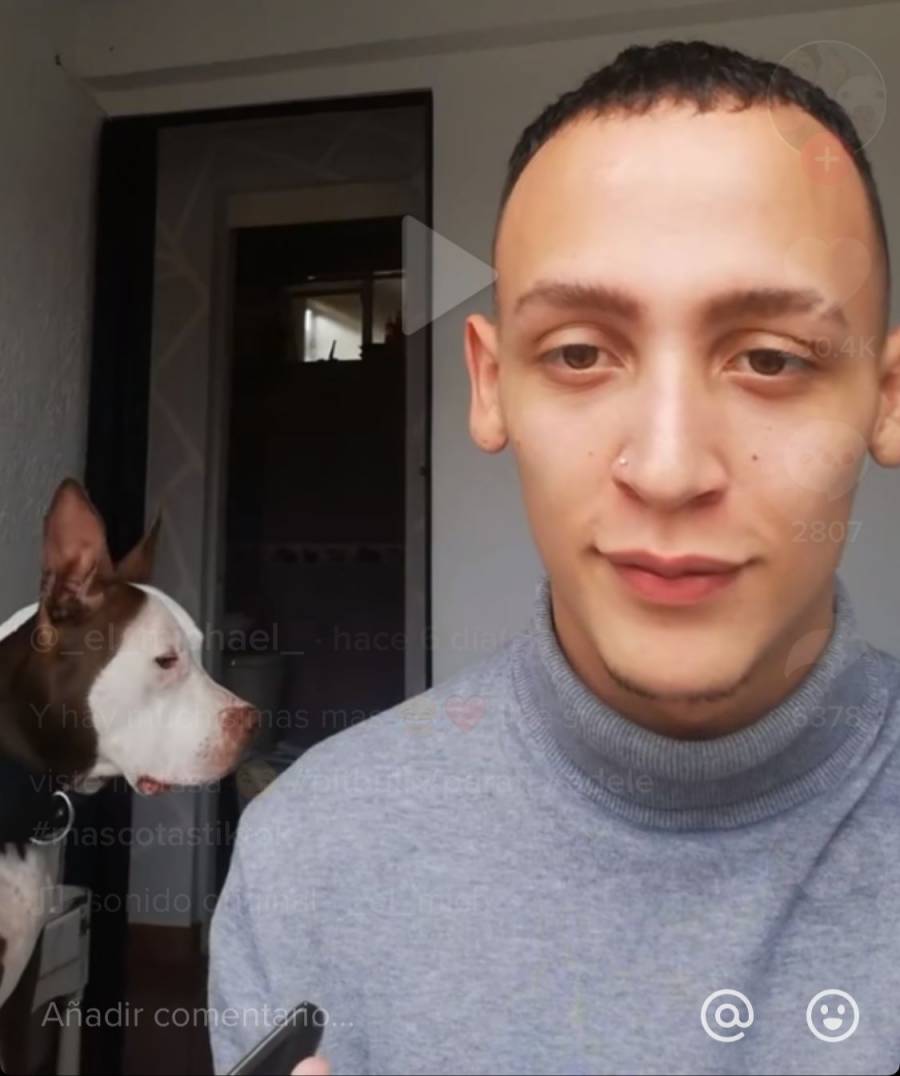 Hasta a este perrito 