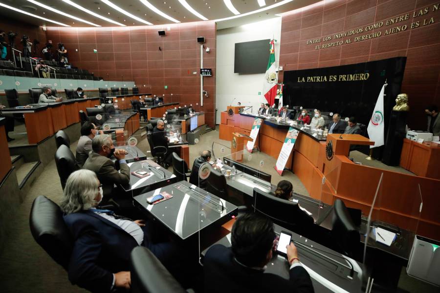 Construcción de Tren Maya debe privilegiar medio ambiente y vestigios históricos: Senadores