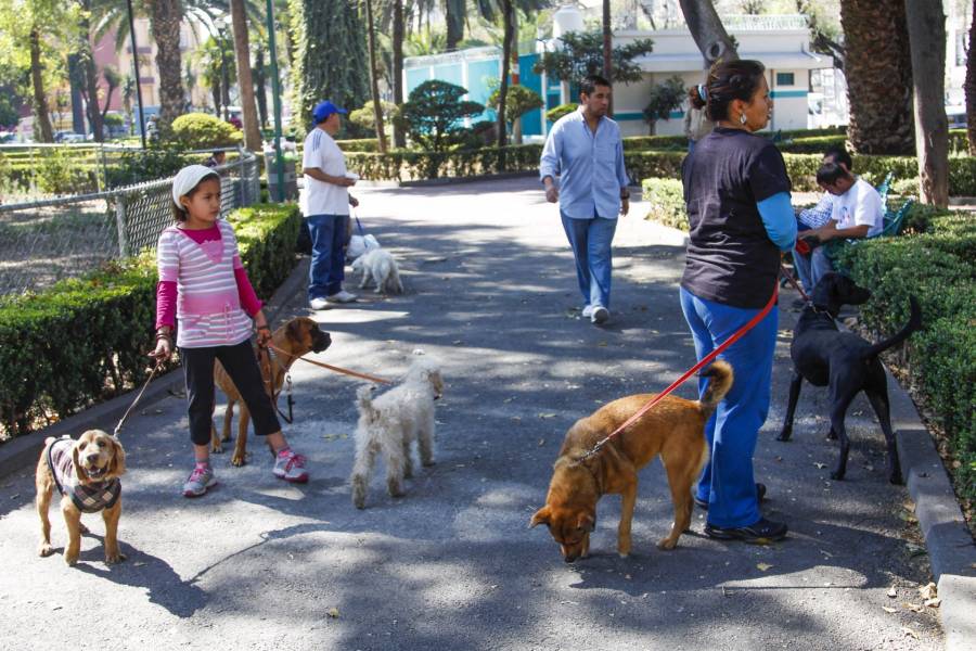 Educación, información y responsabilidad, esenciales para convivir con animales de compañía