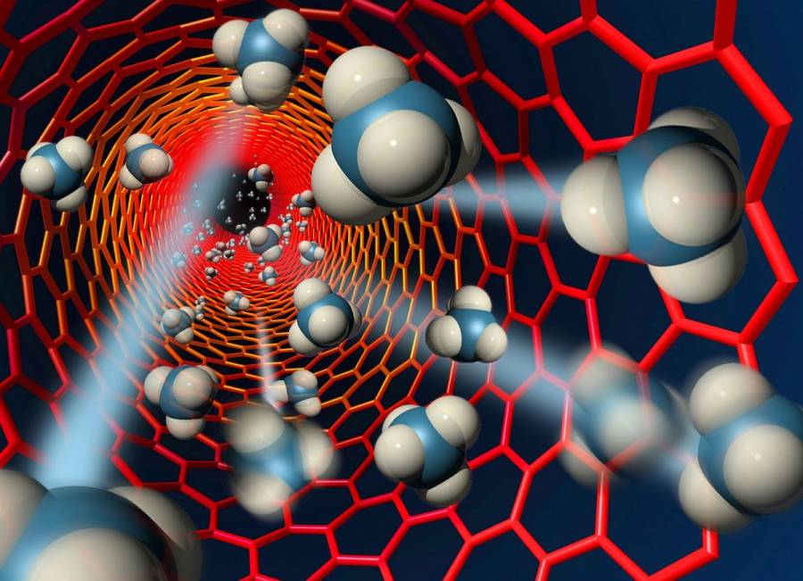 Crean prueba rápida para detectar Covid-19 a partir de nanotubos de carbono