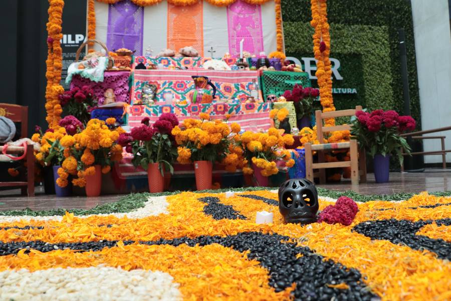 Garantizado abasto de flores para celebración de Día de Muertos: Agricultura