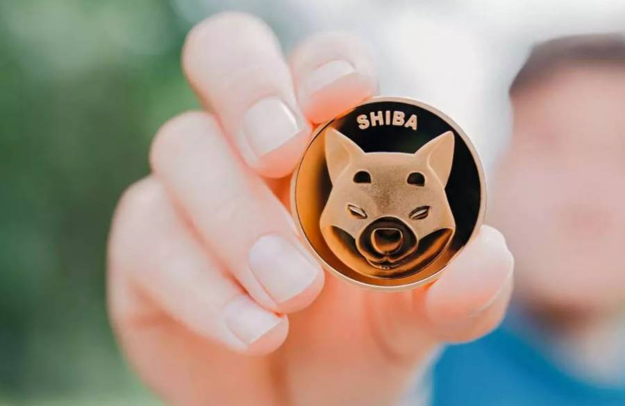 Shiba Inu: otra criptomoneda hecha a imagen del perro japon&eacute;s de los memes