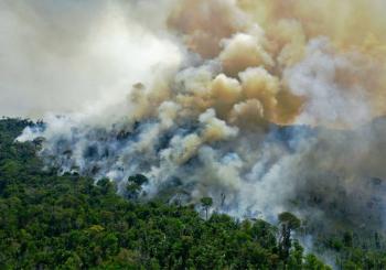 Brasil firmar&aacute; acuerdo para preservaci&oacute;n de bosques durante COP26