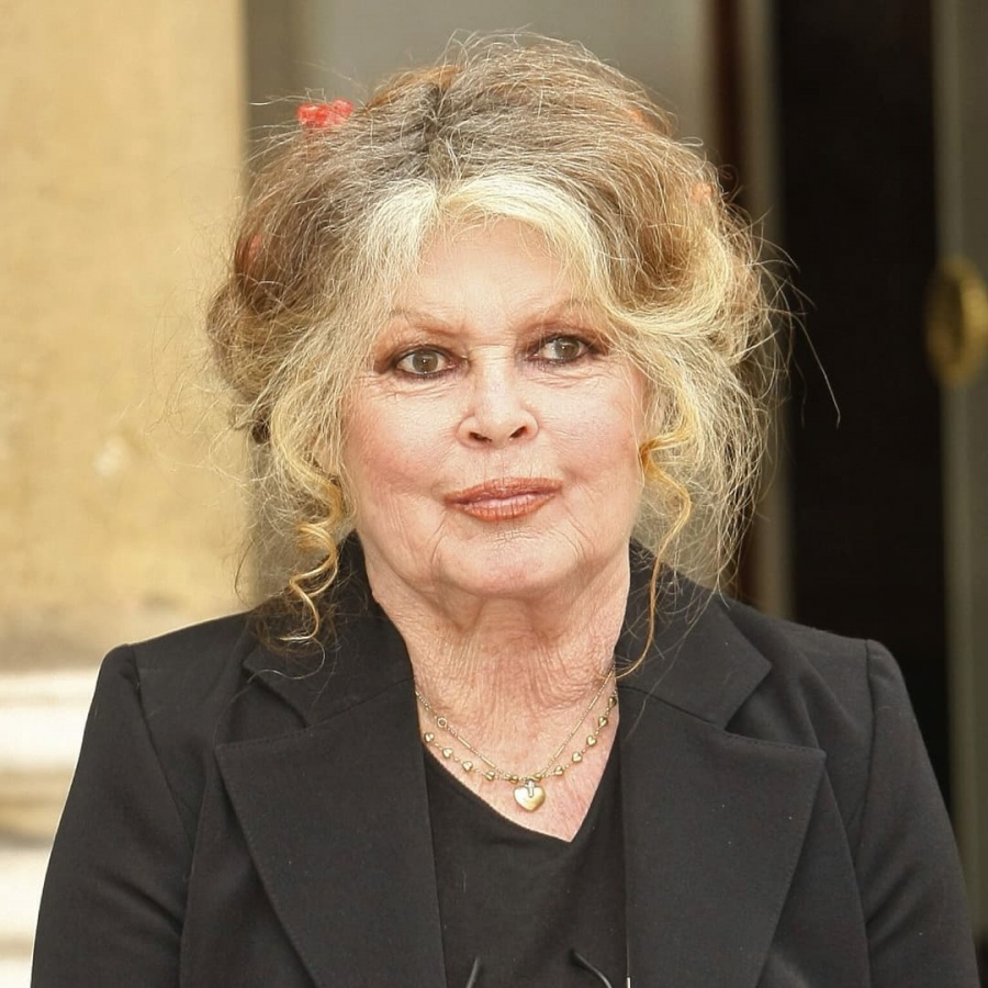 Condenan en Francia a Brigitte Bardot por insultos racistas