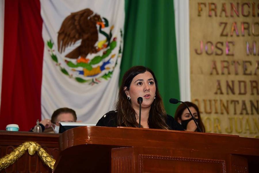 Propone diputada ocupación del 5 por ciento de plazas en CDMX a discapacitados