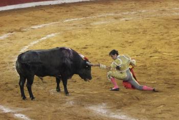 Suspenden corrida de toros en Venezuela