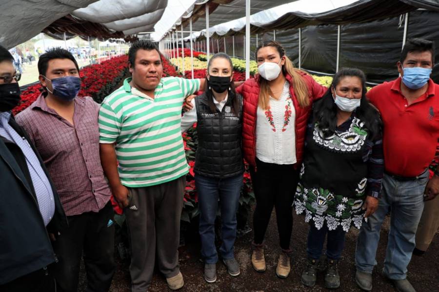 Alistan feria de la nochebuena en el Zócalo