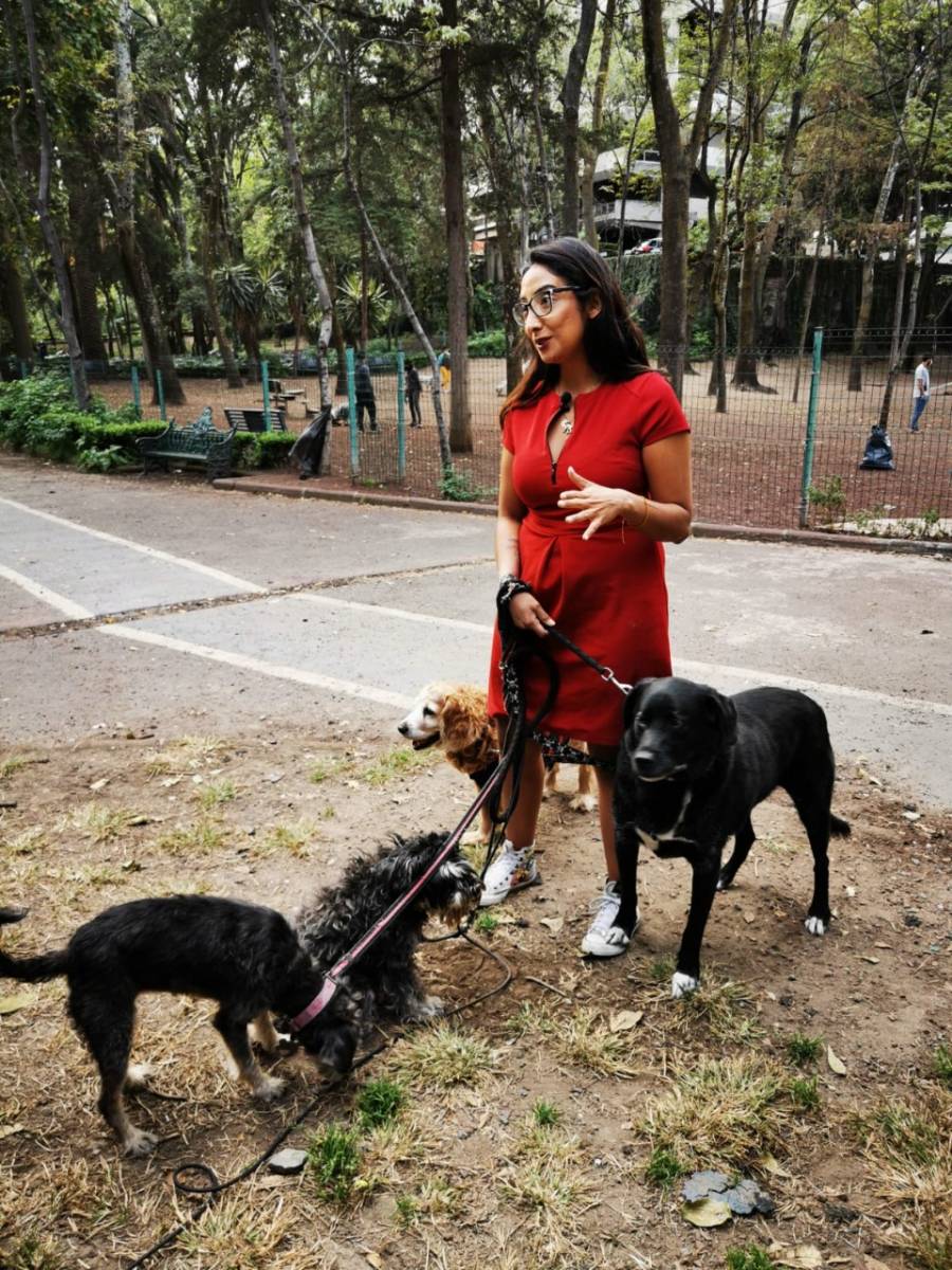 Exhorta Ana Villagrán a alcaldías crear JUD de protección animal