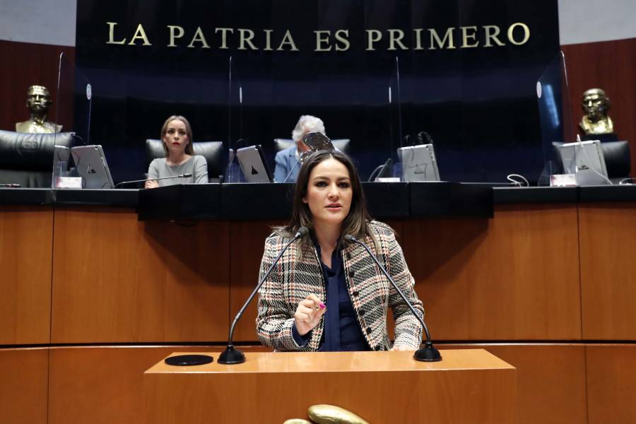 Senadores aplauden regaño a titular de SSa por desabasto de medicinas