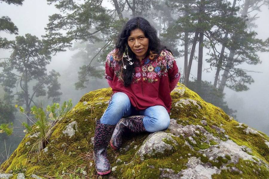 Desaparece en Oaxaca la ambientalista Irma Galindo; emiten Alerta Rosa