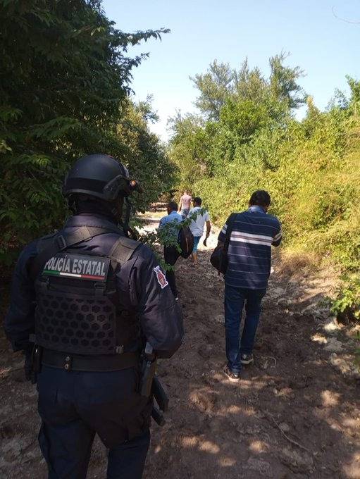 En Culiac&aacute;n reportan que un le&oacute;n anda suelto en las calles