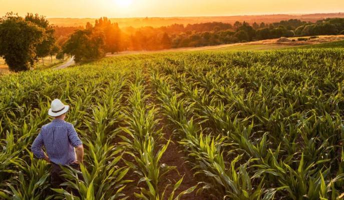 Buscan apoyar al medio ambiente