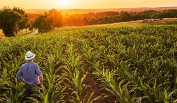 Buscan apoyar al medio ambiente