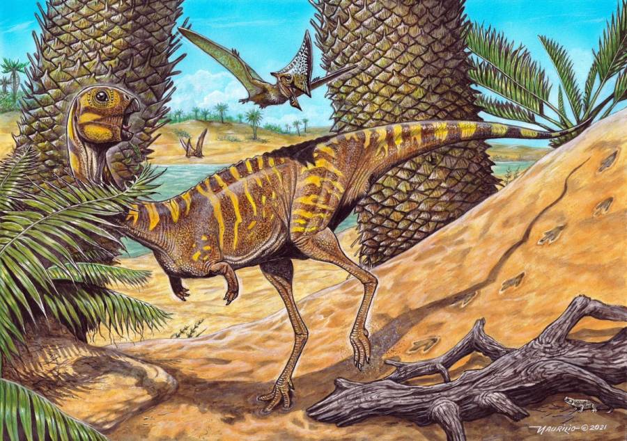 Descubren una nueva especie de dinosaurio 