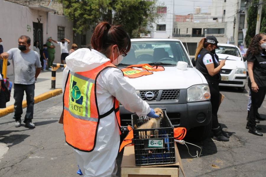 En la CDMX otorgan la primera sentencia condenatoria por maltrato animal