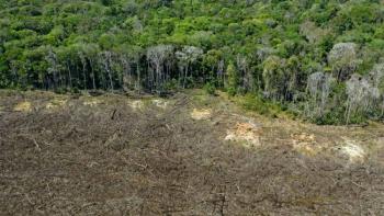 Brasil registra deforestaci&oacute;n r&eacute;cord en la Amazon&iacute;a en &uacute;ltimos 15 a&ntilde;os