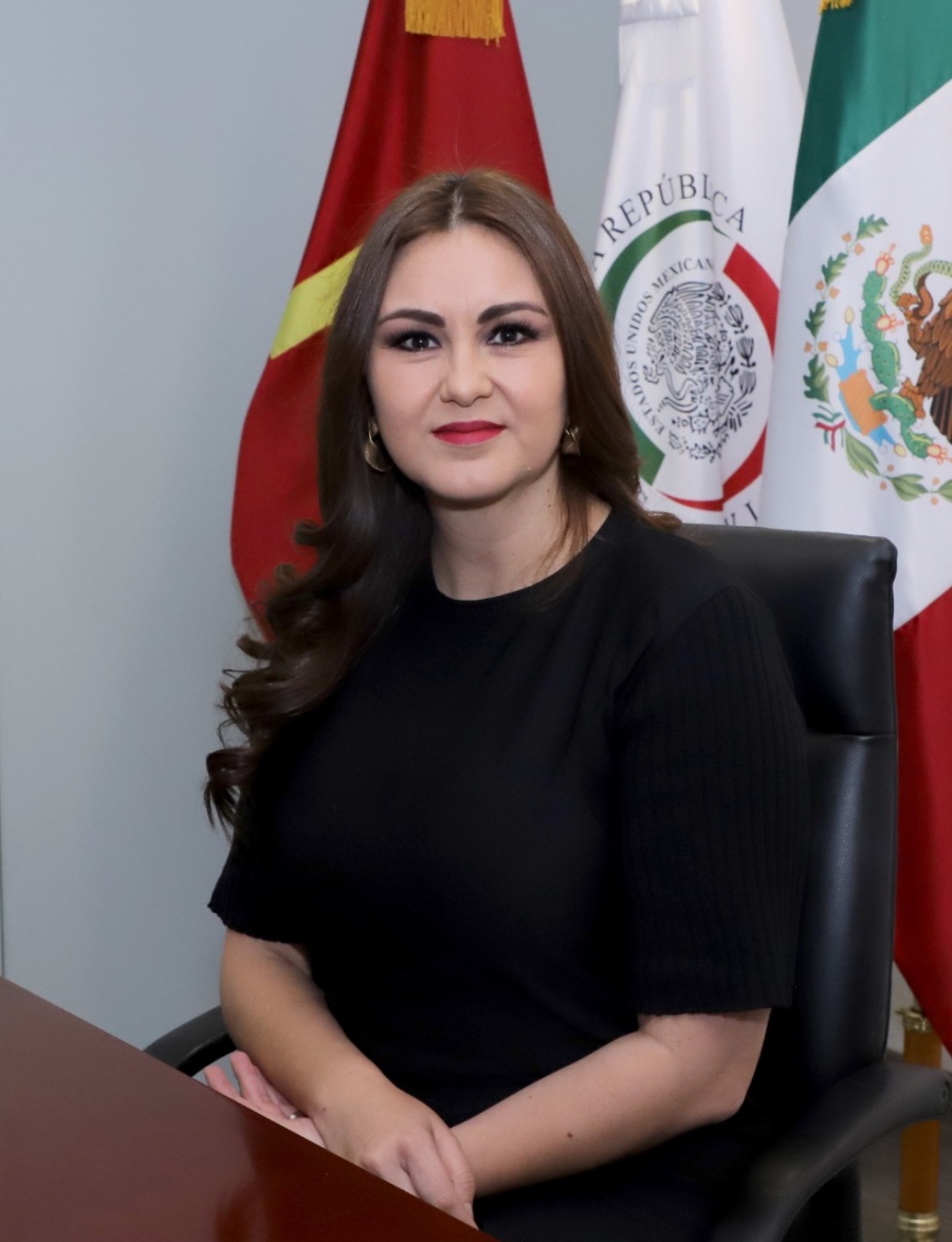 Impostergable rediseñar la estrategia de seguridad en Zacatecas: senadora del PT