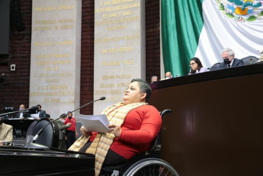 Llama diputada del PRI a consolidar derechos de personas con discapacidad