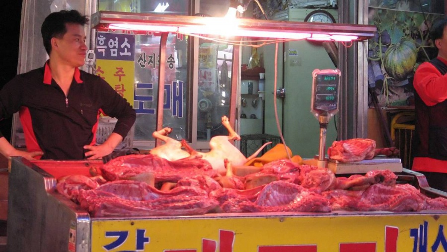 Corea del Sur analizará prohibir el consumo de carne de perro