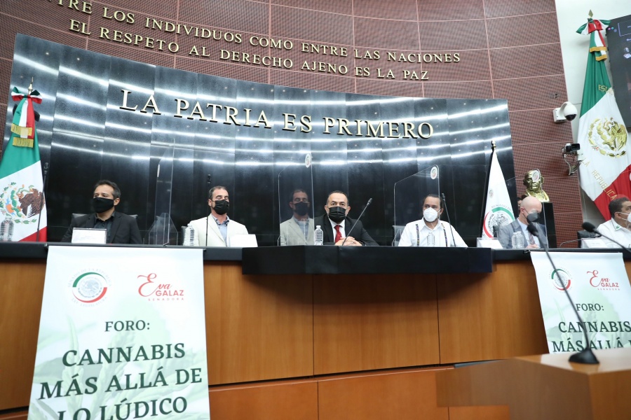 El c&aacute;&ntilde;amo es el futuro de M&eacute;xico, aseguran especialistas