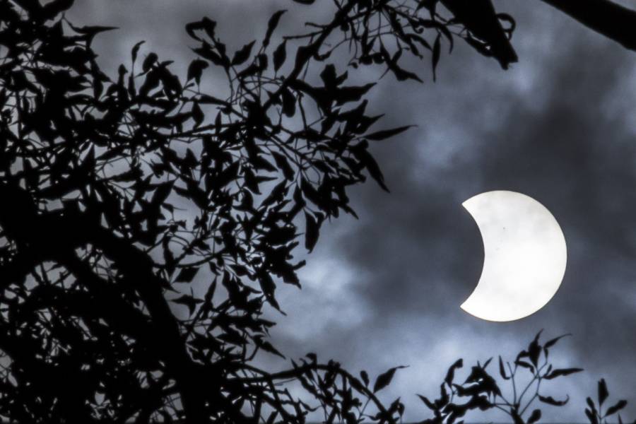 ¡La noche de día! Habrá un eclipse solar este 4 de diciembre