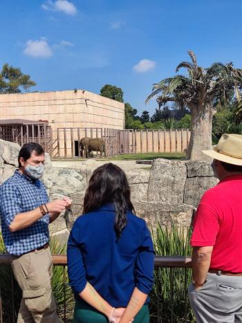 Solicitan 100 mdp para remodelar zoológicos de Chapultepec, Aragón y Los Coyotes