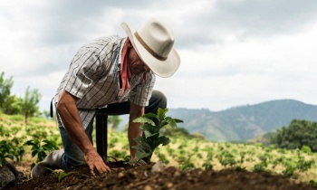 EEUU y M&eacute;xico anuncian Sembrando Oportunidades para el desarrollo de Centroam&eacute;rica