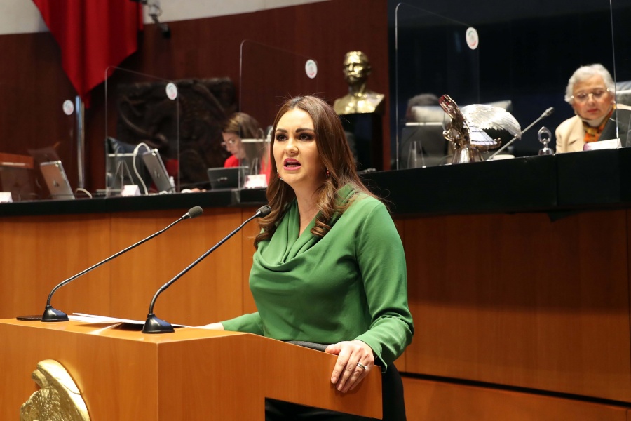 Propone senadora del PT crear Secretaría de la Inclusión Social